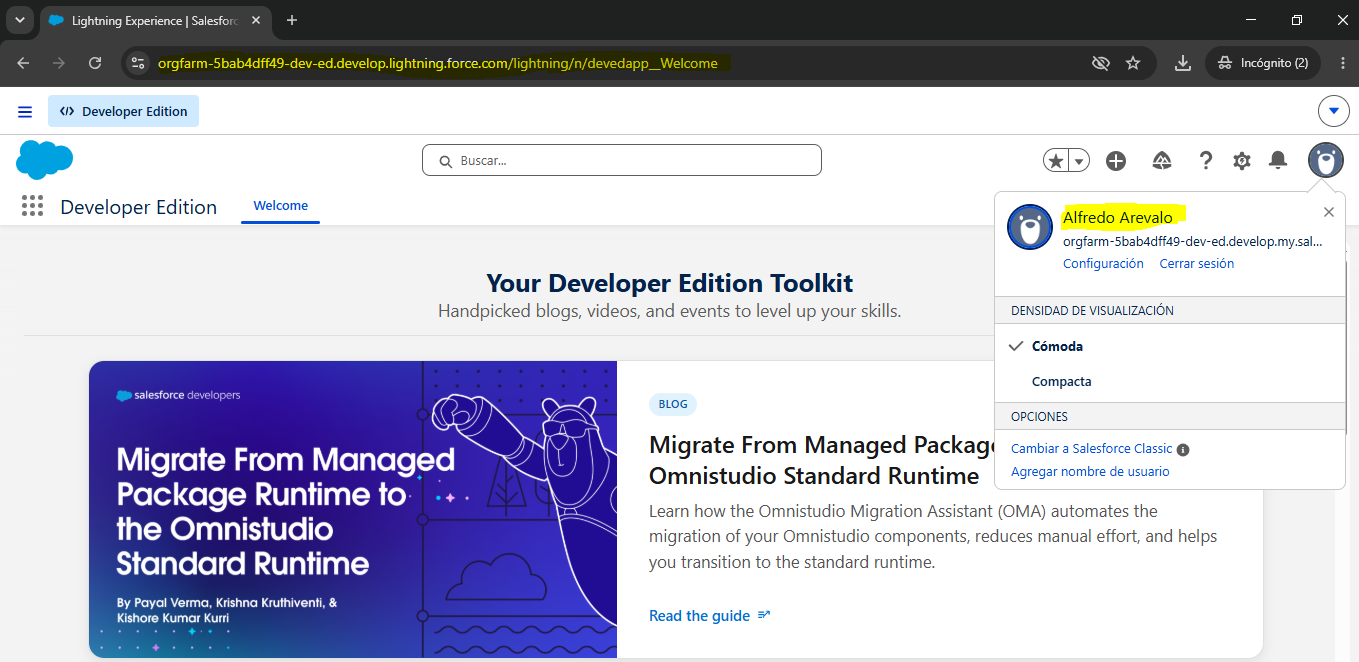 Validación exitosa de sesión en el entorno Developer Edition de Salesforce mediante flujo SP-Initiated